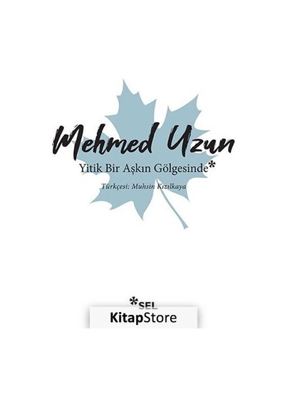 Kitapstore Yitik Bir Aşkın Gölgesinde / Mehmed Uzun