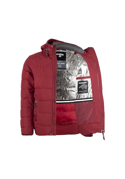 Evolite Vertex Erkek Mont-bordo