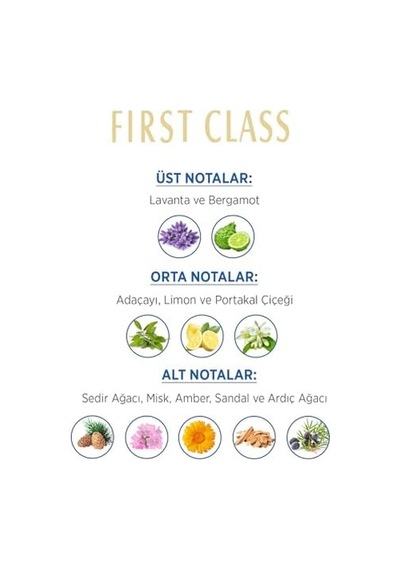 Fırst Class Edt, 100 Mililitre Diğer