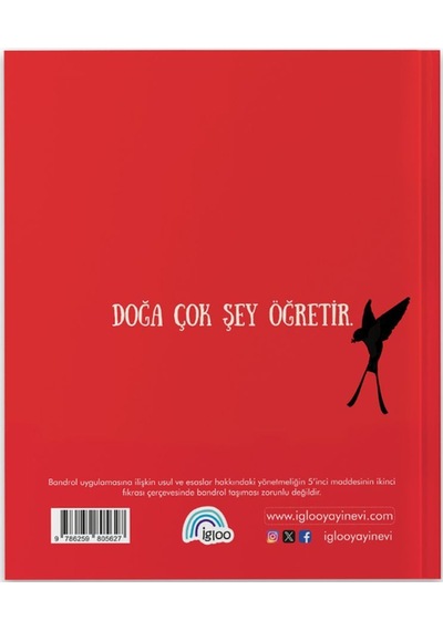 Kırlangıçtan Öğrendiklerim