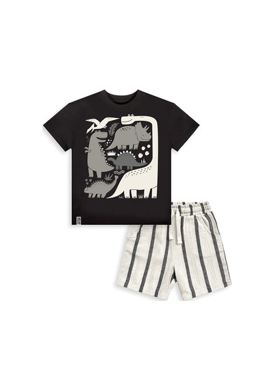 Denokids Dino Erkek Çocuk T-shirt Şort Takım Çok Renkli