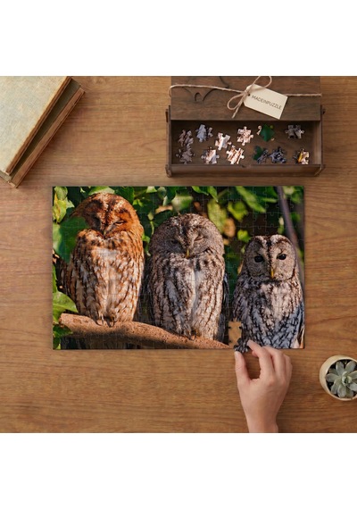 Uyuyan Baykuşlar Tasarımı 240 Parça Ahşap Puzzle Ahşap Kutuda Mpy50318