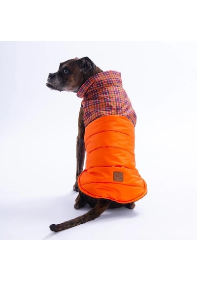 Pawstar Turuncu Elgin Paws Su İtici Orta-büyük Irk Köpek Puf Yelek Yağmurluk