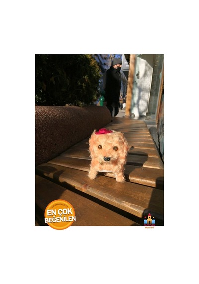Pembe Peluş Köpek Yürüyen Pilli Oyuncak - Sevimli Arkadaşlarınız İçin Kahverengi
