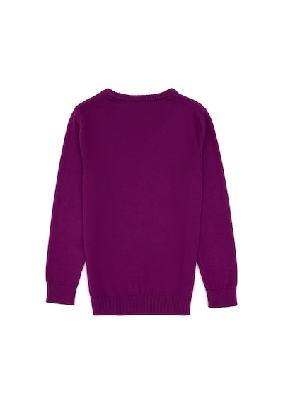 U.S. Polo Assn. Kız Çocuk Menekşe Bisiklet Yaka Basic Kazak 50316808-VR037