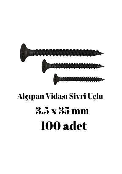 Sivri Uçlu Alçıpan Vidası 3.5x35 100'lü Paket Diğer