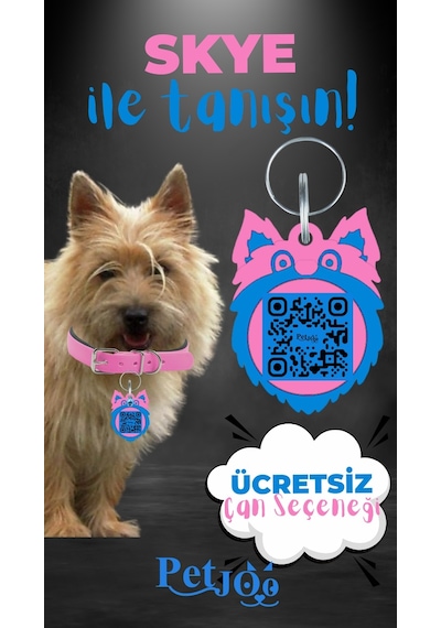 Petjoo 6.Skye Mavi-Pembe Qr'lı Köpek Künyesi