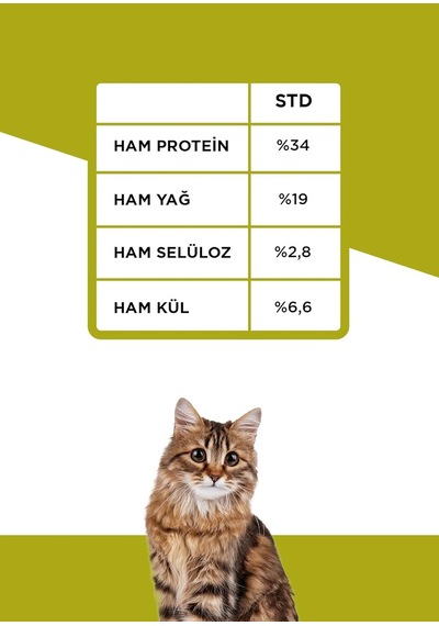 Vital Somonlu Yavru Kedi Maması 12kg