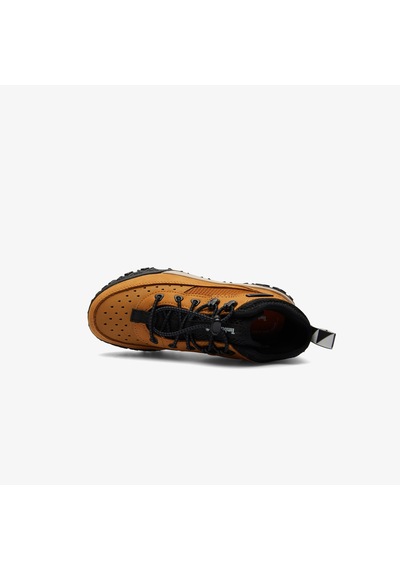 Timberland Low Lace Up Hiking Çocuk Kahverengi Bot Düz Tb0a64842311 Kahverengi