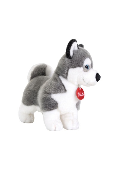 Trudi Husky Marcus M 22272 Çok Renkli