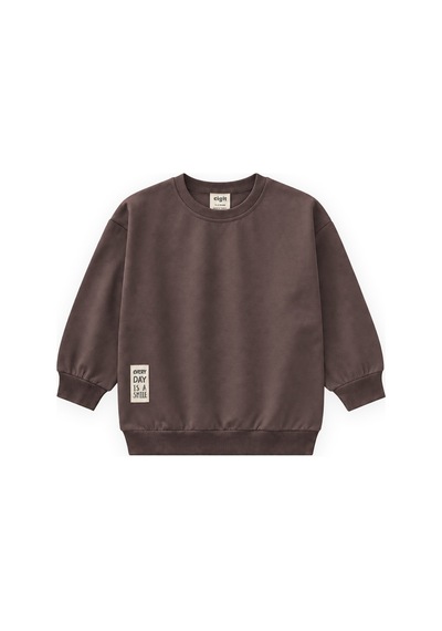 Cigit Etiket Detaylı İnce Mevsimlik Sweatshirt 2-10 Yaş Kahverengi