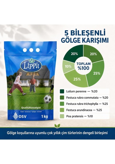 Lexroo Lippa Pro Shadow 5s Gölge Alan Çim Tohumu, Ağaç Altı Ve Yarı Gölge İçin 5 Bileşenli Karışım Standart