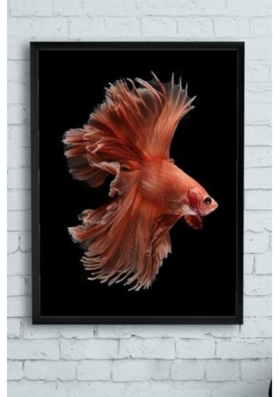 Tr Sanatsal Balık Hayvan Çerçeveli Tablo 50x70cm