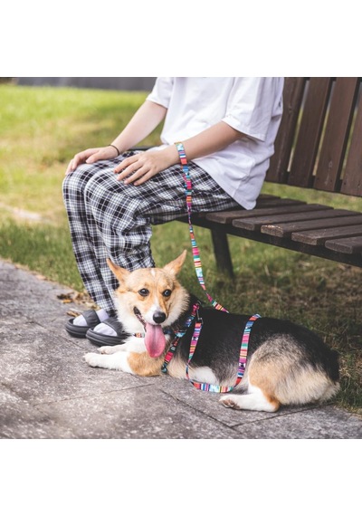 M-pets Urban Style Jazz Strıpes Gezdirme L Çok Renkli