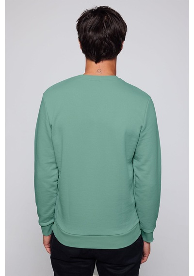 Tudors Unisex Relax Fit Rahat Kesim Pamuklu Basic Yeşil Bisiklet Yaka Sweatshirt-32060-yeşil Yeşil