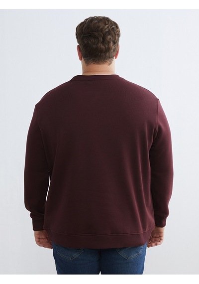 Lcw Vision Bordo Bisiklet Yaka Erkek Kalın Sweatshirt