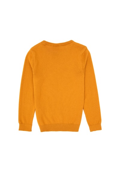 U.S. Polo Assn. Erkek Çocuk Hardal Bisiklet Yaka Basic Kazak 50307845-VR072