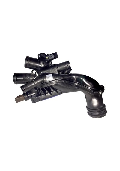 Termostat Govdesı 207/308/rcz / Mini 2010