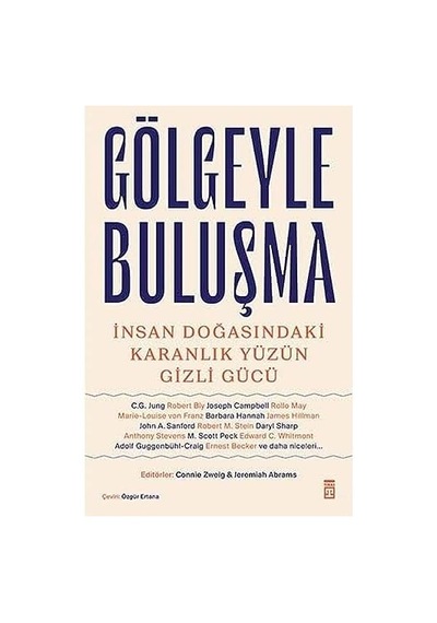 Gölgeyle Buluşma: İnsan Doğasındaki Karanlık Yüzün Gizli Gücü