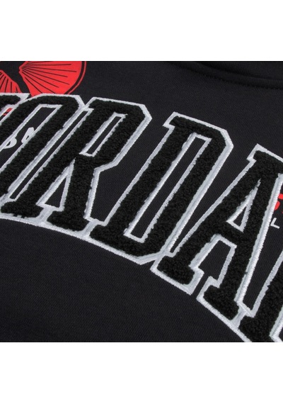 Nike Nıke Jordan Jdb I23 Cruıse Control Po Hood Erkek Çocuk Sweatshirt 95g361 023