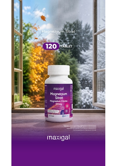 Maxigal Magnezyum Sitrat 120 Tablet