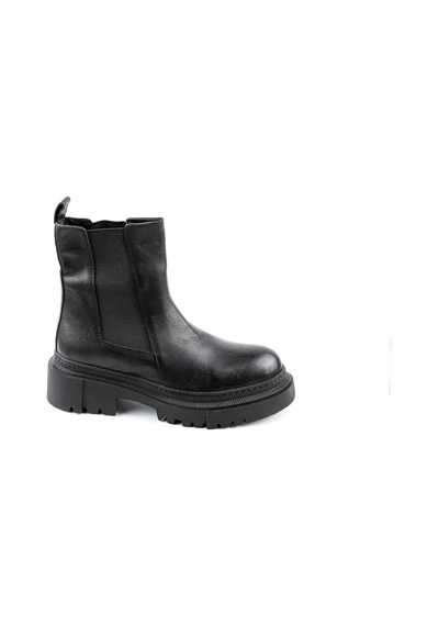 Dexter Tp22515-1 Renkli
