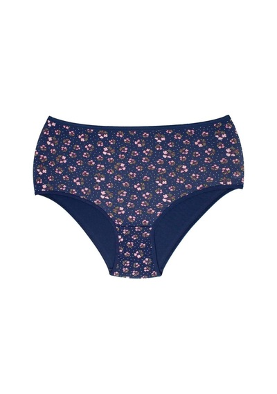 6 Adet Kadın Slip Külot Pamuk 001