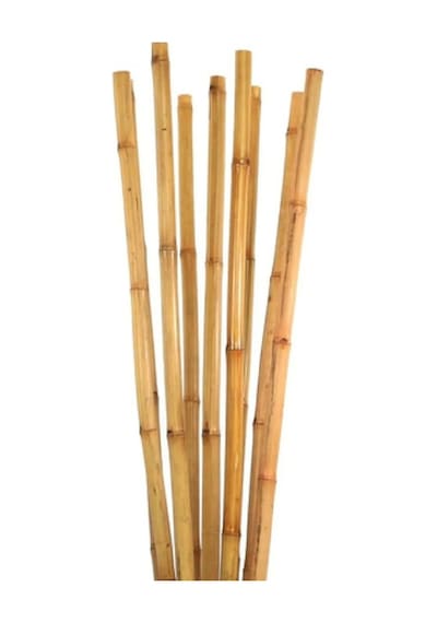 20 Adet Bambu Bitki Fidan Destek Çubuğu 1 Metre