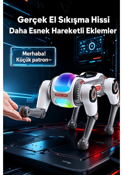 Blic Brb1 Akıllı Robot Köpek 2.4ghz Uzaktan Kumandalı Sesli Komutlu Rgb Işıklı Ve Akrobatik Eğitici Beyaz