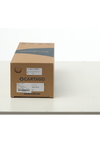 Terlik Erkek 12209 Cartago Cr Santıago Thong Ad Dd0360 Black Siyah