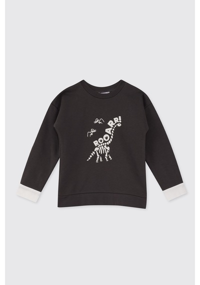 Panço Erkek Çocuk Dinozor Baskı Antrasit Sweatshirt Gri