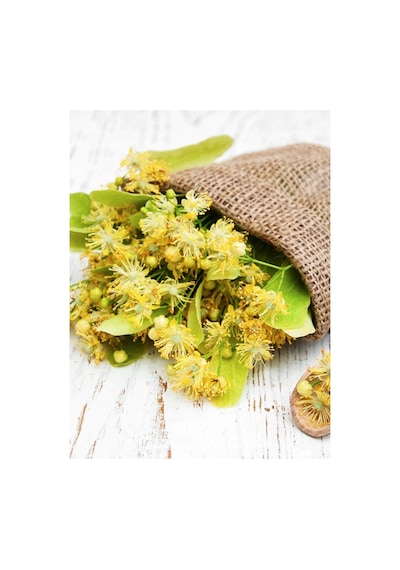 Kuzeylina Ihlamur 50 G