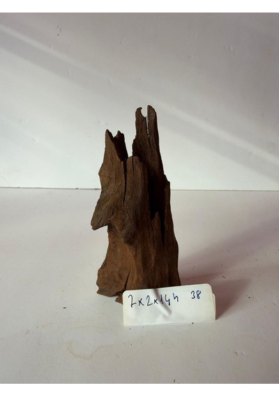 Mangrow Kökü No:a38 7x2x14h