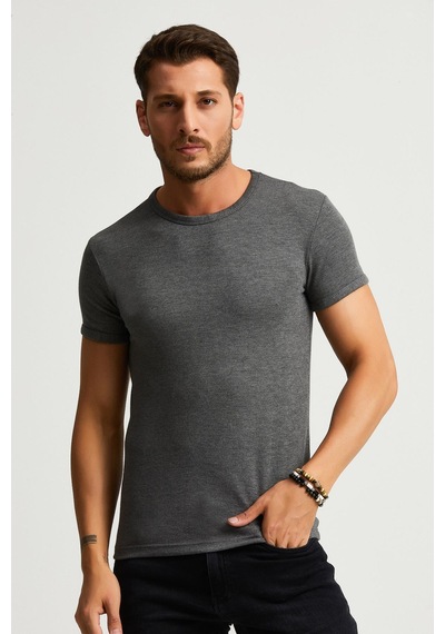 Alexandergardı Slim Fit Basic T-shirt E22-746a Antrasit