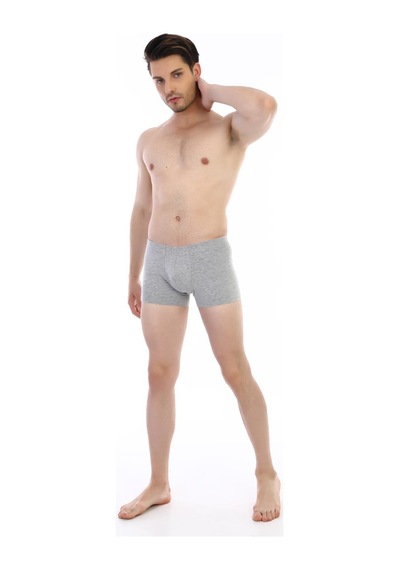 Çift Kaplan Erkek Elastanlı Gri Boxer 810 Gri