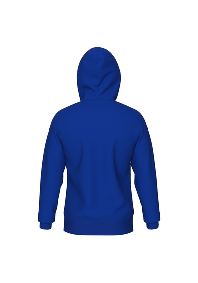 Arena Team Hooded Sweat Panel Unusex Kapşonlu Mavi
