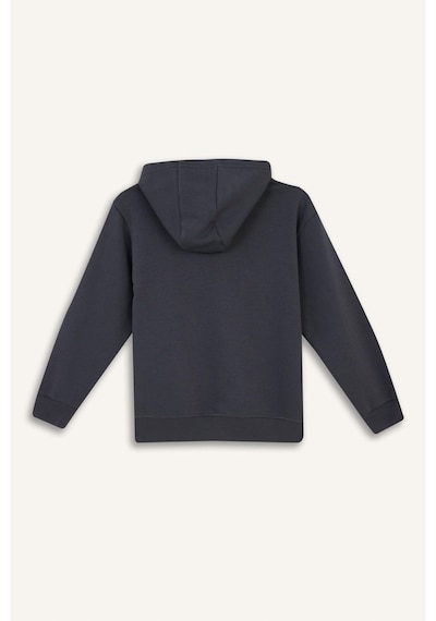 Defacto Erkek Çocuk Kapüşonlu Basic Düz Okul Fermuarlı Sweatshirt X7382a625wnar126 Antrasit