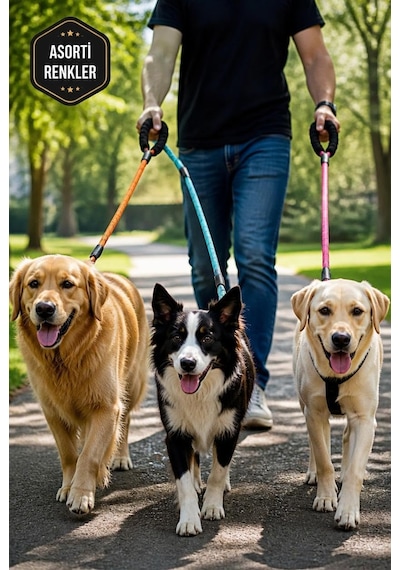 Reflektörlü Köpek Gezdirme Kayışı 150 Cm Dayanıklı Naylon Tasmalı, Yumuşak Saplı, Orta Ve Büyük Irk Köpekler İçin Güvenli Yürüyüş Tasması, Asorti Renk