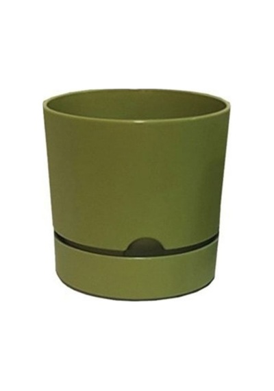 Polıwork Saksı Begonya 12 Cm Yosun Yeşili