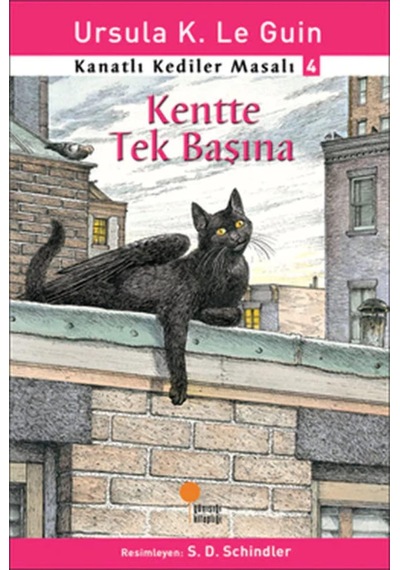 Kanatlı Kediler Masalı 4 - Kentte Tek Başına: 1, 2, 3. Sınıflar