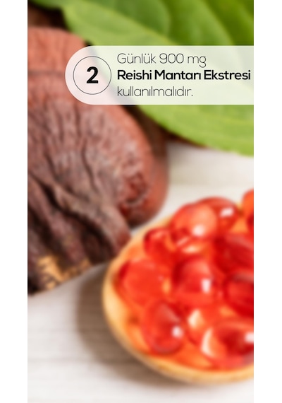 Erbatab Reishi Eki 60 Kapsül