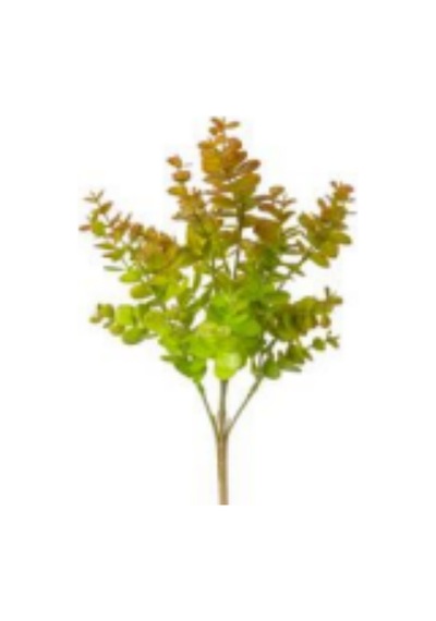 Yapay Bitki Okaliptus Kızıl-yeşil 40 Cm. Çok Renkli