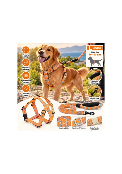 Ally Paws Köpek Göğüs Tasması Ve Gezdirme Kayışı Seti L Beden 12mm X 120cm Çok Renkli