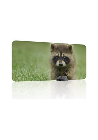 Rakun Kaymaz Dikişli Kauçuk Oyuncu Mousepad V2 - 90x40 Xxl Gaming Mouse Pad Fare Altlığı