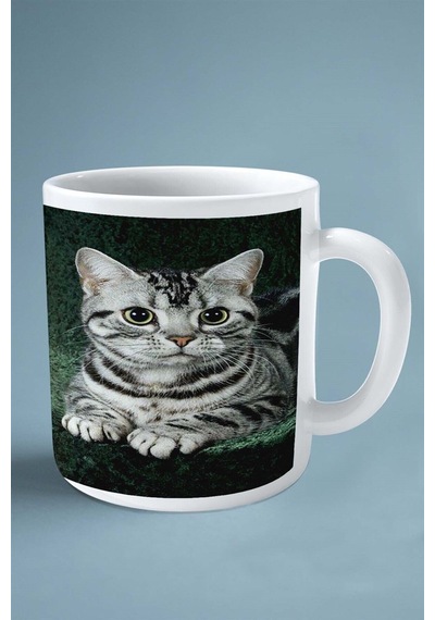 American Shorthair Kedi İsimli Kişiye Özel Baskılı Kupa Bardak Tatlı Çok Renkli