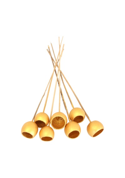 Yapay Çiçek Deposu Dekoratif Bell Cup Orta Boy 7li Doğal Kabak Gold Altın Renk
