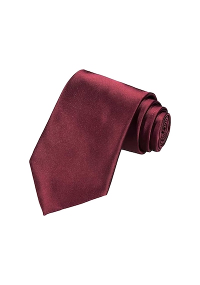 Tezzgelsin Erkek Saten Kravat Bordo