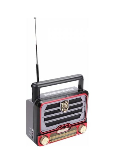 Everton Rt 313 Radyo