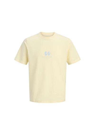 Jack & Jones Jorhyeres Tee Ss Crew Neck Fst Sari