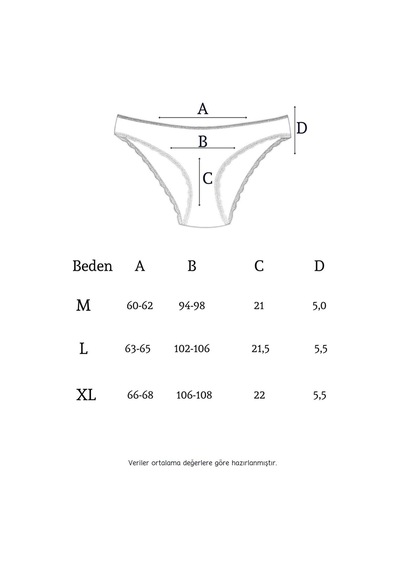 1101 Bikini Kadın T. Dantelli Külot Paketi 1101-v10-Pembe-Lila-Somon-Mint-Vizon Çok Renkli
